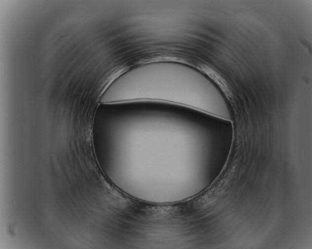 X0000092321193200709141045
