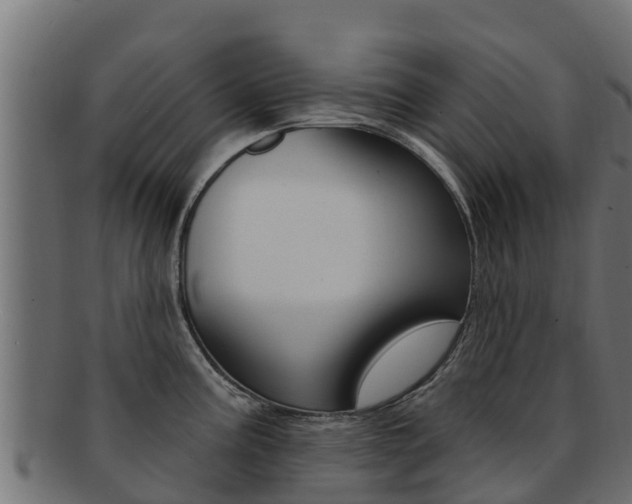 X0000092321195200709141045