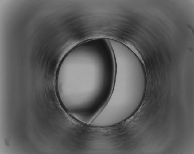 X0000092321197200709141045