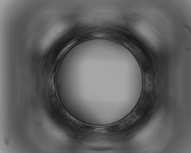 X0000092321198200709141045