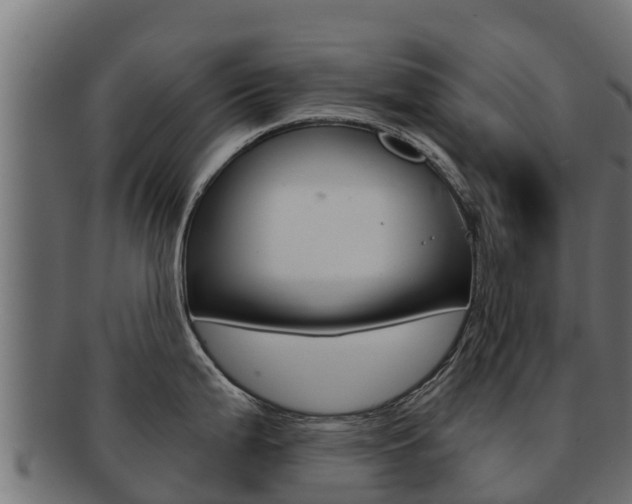 X0000092321199200709141045