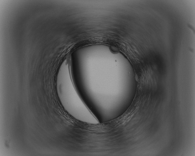 X0000092321201200709141044