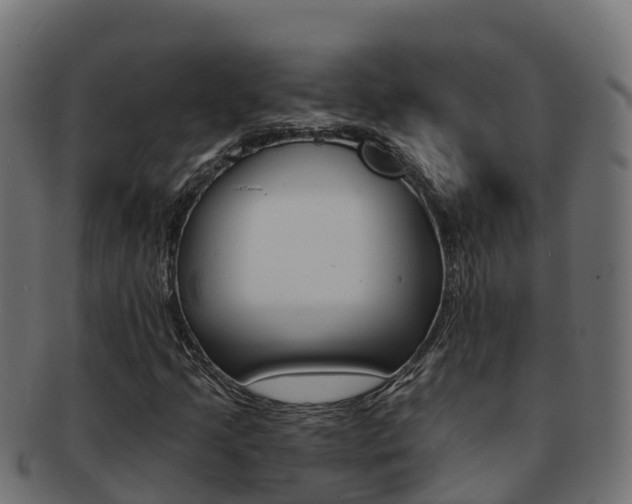 X0000092321205200709141044