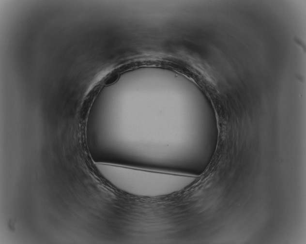 X0000092321208200709141044