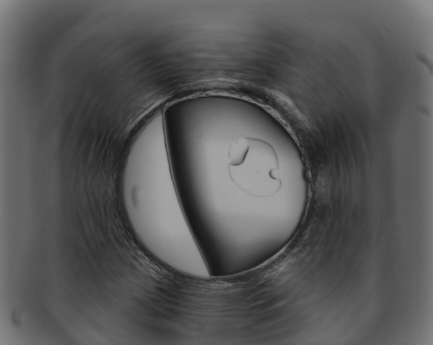 X0000092321209200709141044