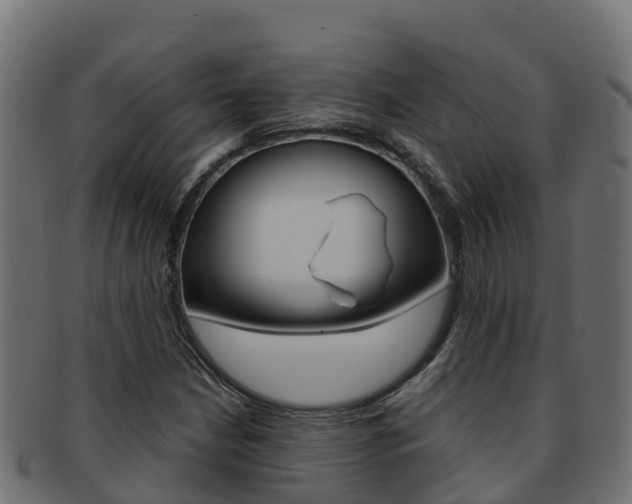 X0000092321210200709141044