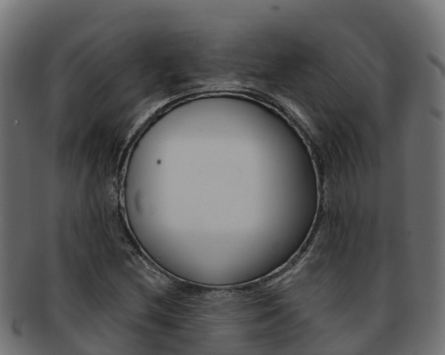 X0000092321212200709141044