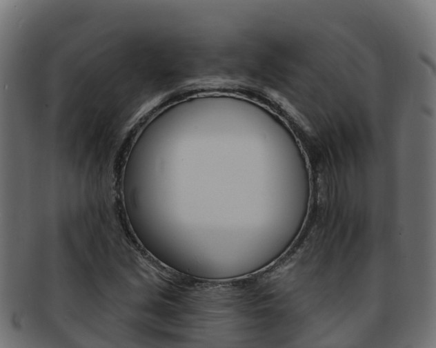 X0000092321213200709141044