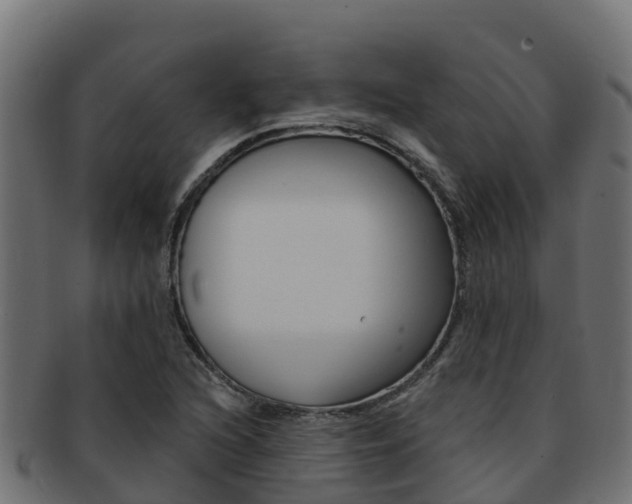 X0000092321216200709141044