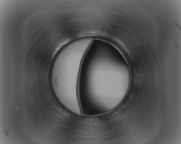 X0000092321218200709141044