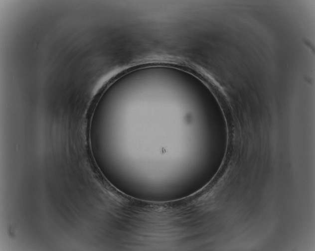 X0000092321222200709141044