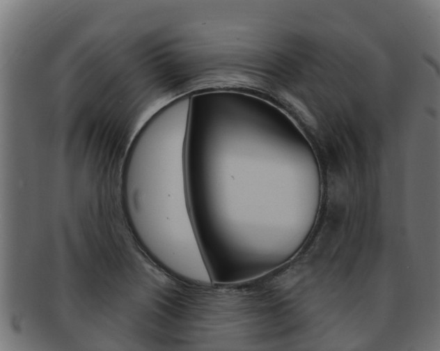 X0000092321226200709141044
