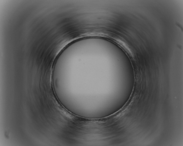 X0000092321228200709141044