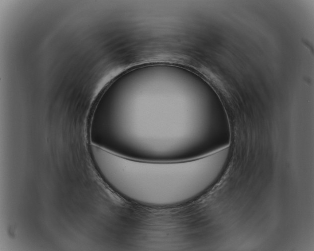 X0000092321230200709141044