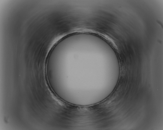 X0000092321231200709141044