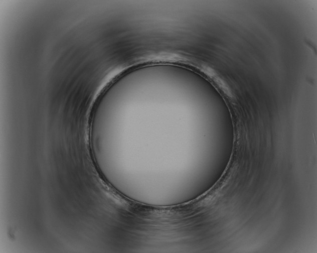 X0000092321232200709141044