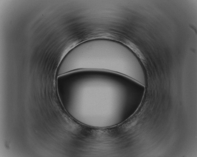 X0000092321234200709141044