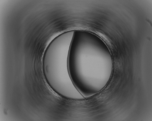 X0000092321238200709141044