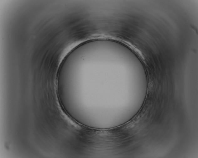 X0000092321239200709141044
