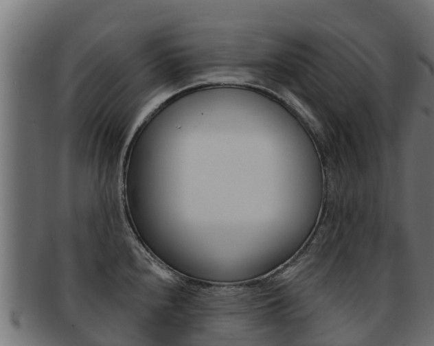 X0000092321240200709141044