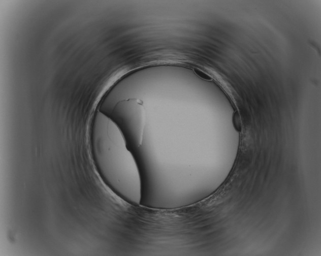 X0000092321243200709141044