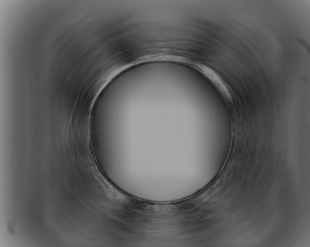 X0000092321244200709141045