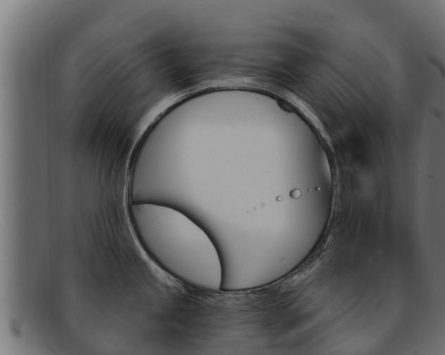 X0000092321245200709141045