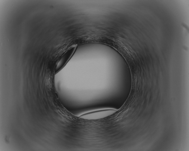 X0000092321250200709141044