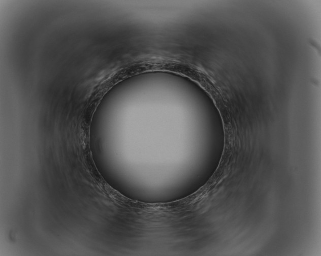 X0000092321253200709141044