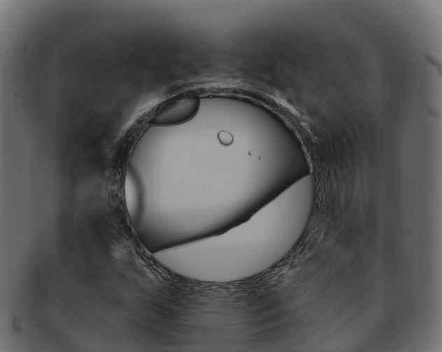 X0000092321255200709141044