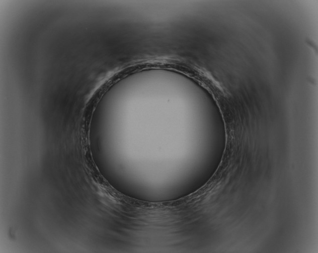 X0000092321256200709141044