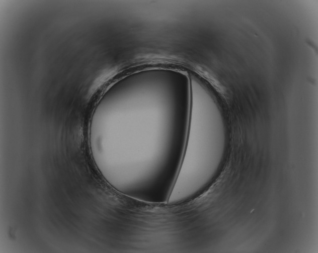 X0000092321261200709141044