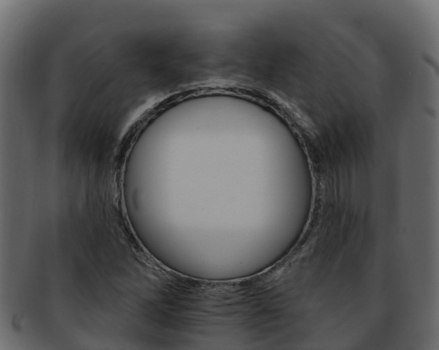 X0000092321262200709141044