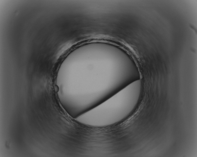 X0000092321263200709141044