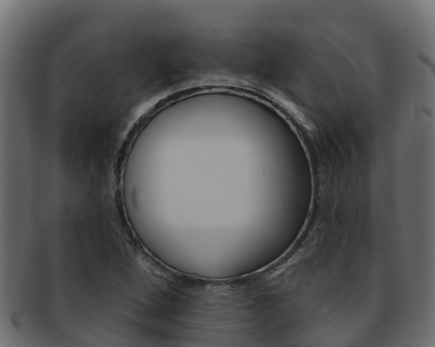 X0000092321264200709141044