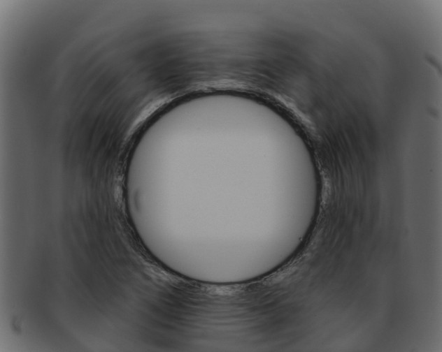 X0000092321266200709141044