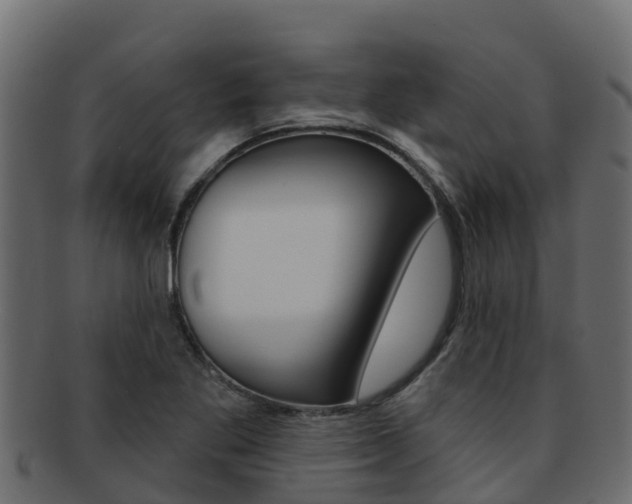 X0000092321269200709141044