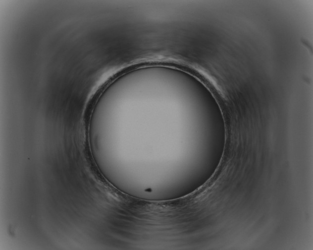 X0000092321270200709141044
