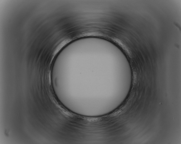 X0000092321274200709141044