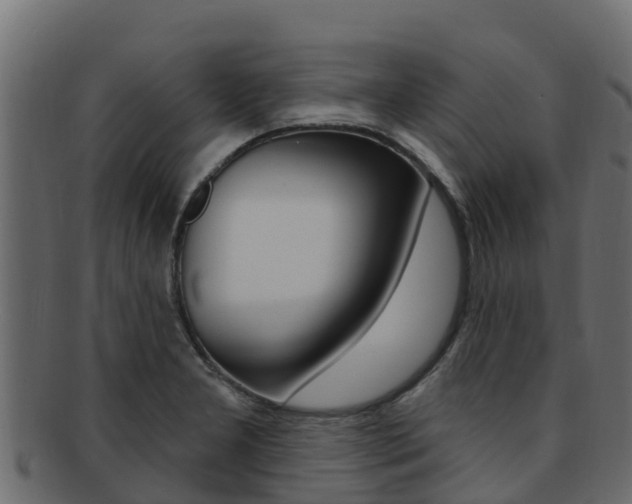 X0000092321277200709141044