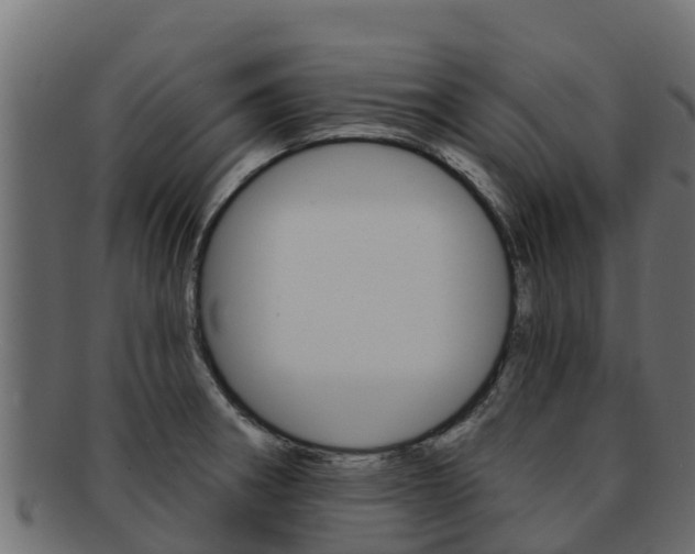 X0000092321282200709141044