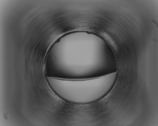 X0000092321284200709141044
