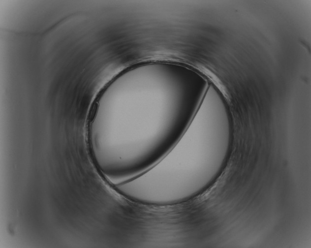 X0000092321285200709141044