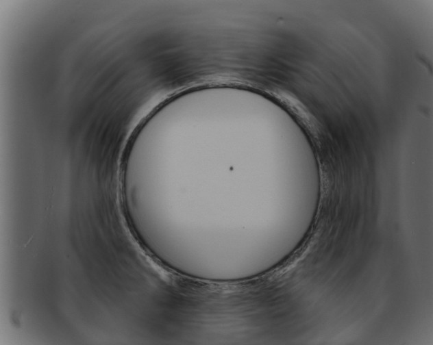 X0000092321286200709141044