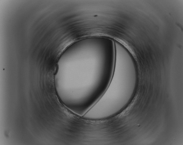 X0000092321289200709141044