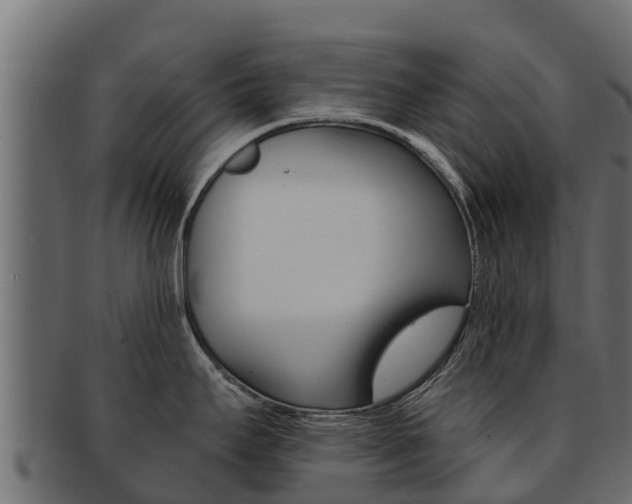 X0000092321295200709141043