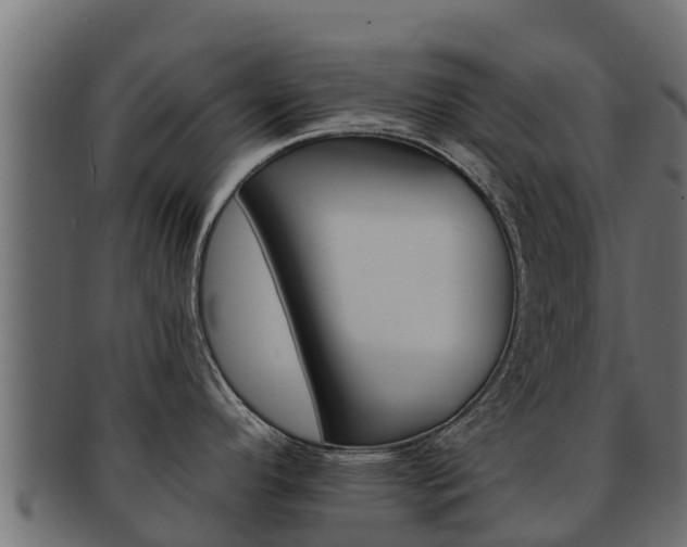 X0000092321296200709141043