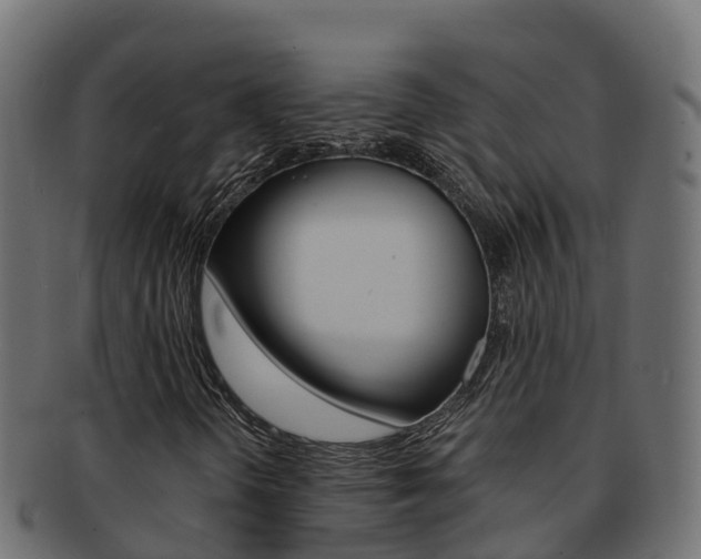 X0000092321298200709141043