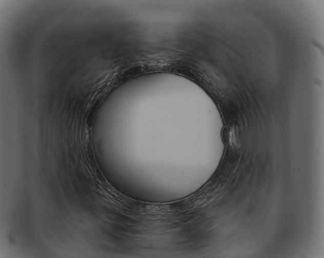 X0000092321299200709141043