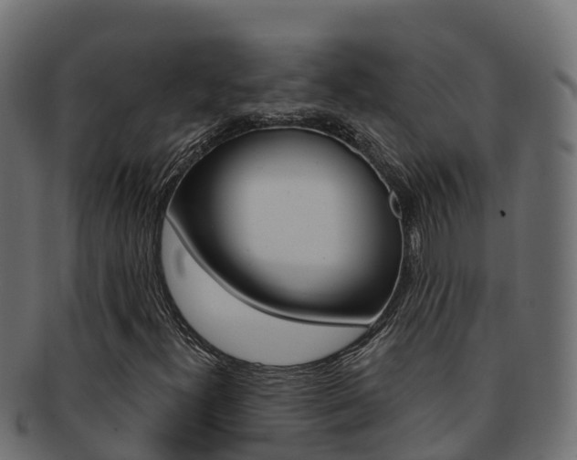 X0000092321300200709141043